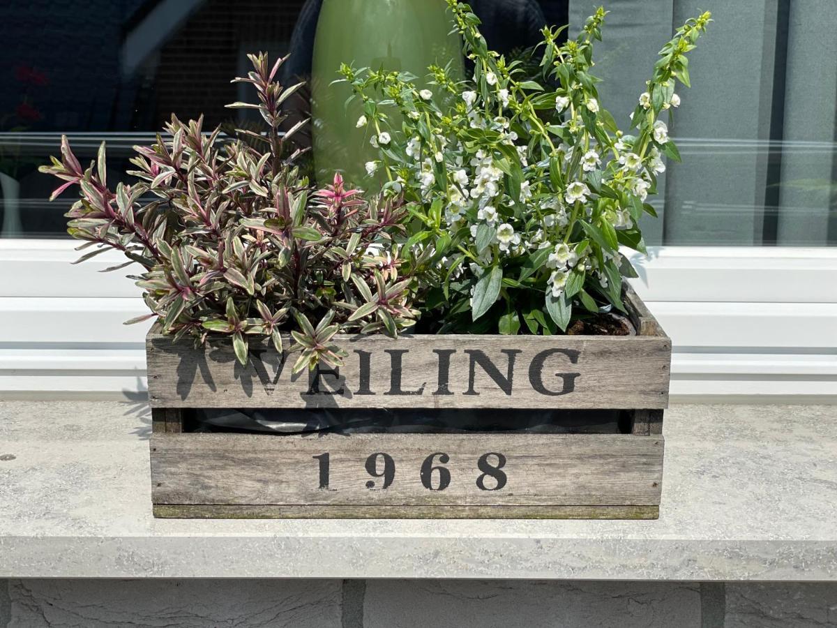 Studio - Apartment Steinmetz Mit Balkon Reken Eksteriør bilde